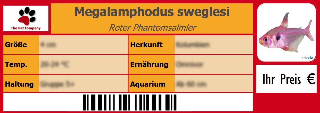 Megalamphodus sweglesi Roter Phantomsalmler 105 x 38 mm