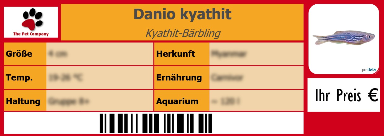 Danio kyathit Kyathit-Bärbling 105 x 38 mm