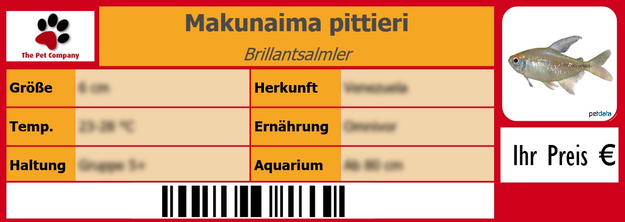 Makunaima pittieri Brillantsalmler 105 x 38 mm