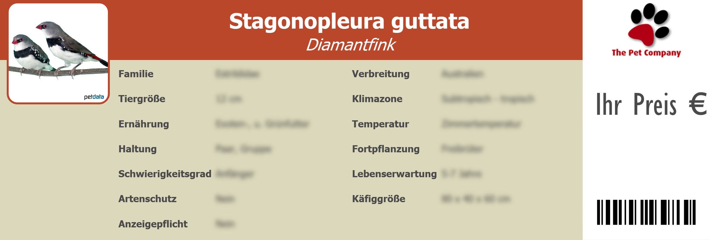 Stagonopleura guttata Diamantfink 195 x 66 mm