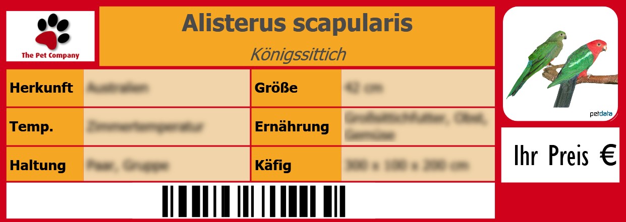 Alisterus scapularis Königssittich 105 x 38 mm
