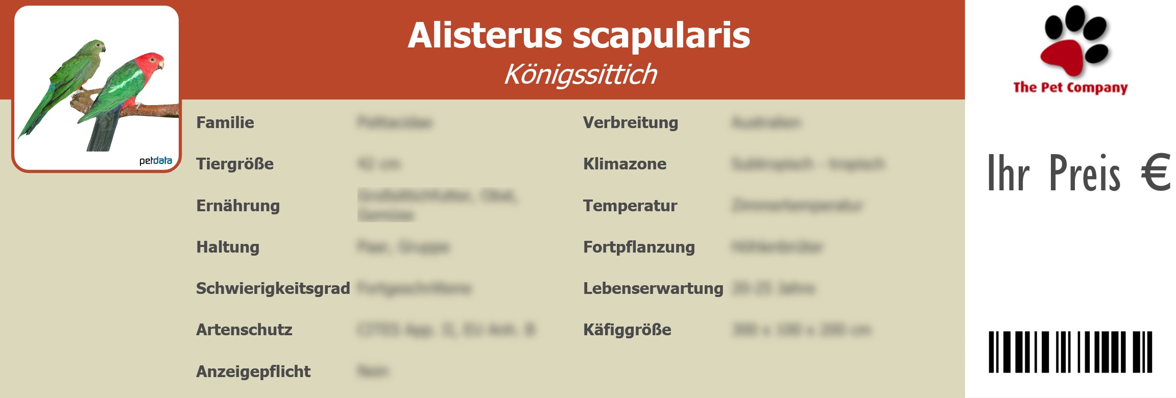 Alisterus scapularis Königssittich 195 x 66 mm