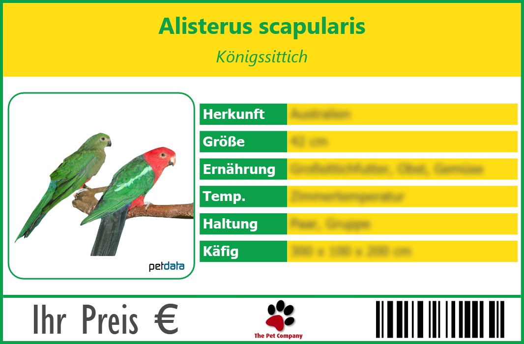 Alisterus scapularis Königssittich 90 x 60 mm