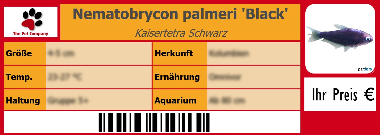 Nematobrycon palmeri 'Black' Kaisertetra Schwarz 105 x 38 mm