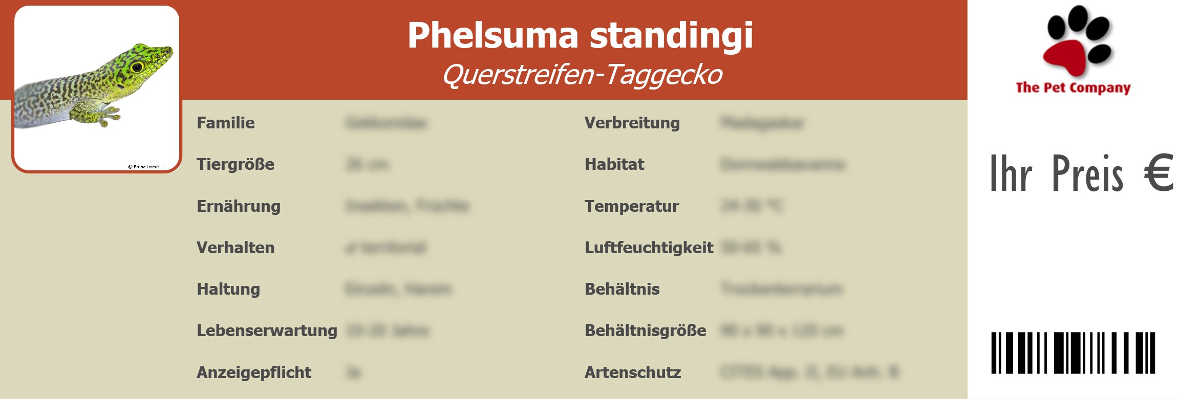 Phelsuma standingi Querstreifen-Taggecko 195 x 66 mm