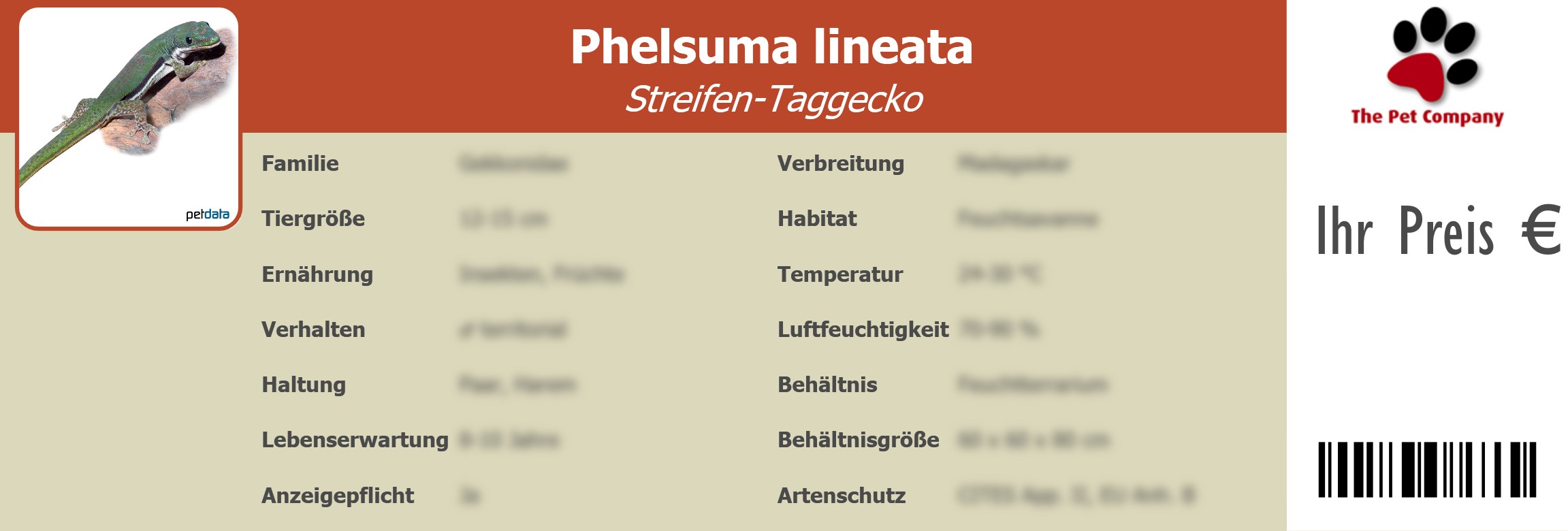 Phelsuma lineata Streifen-Taggecko 195 x 66 mm