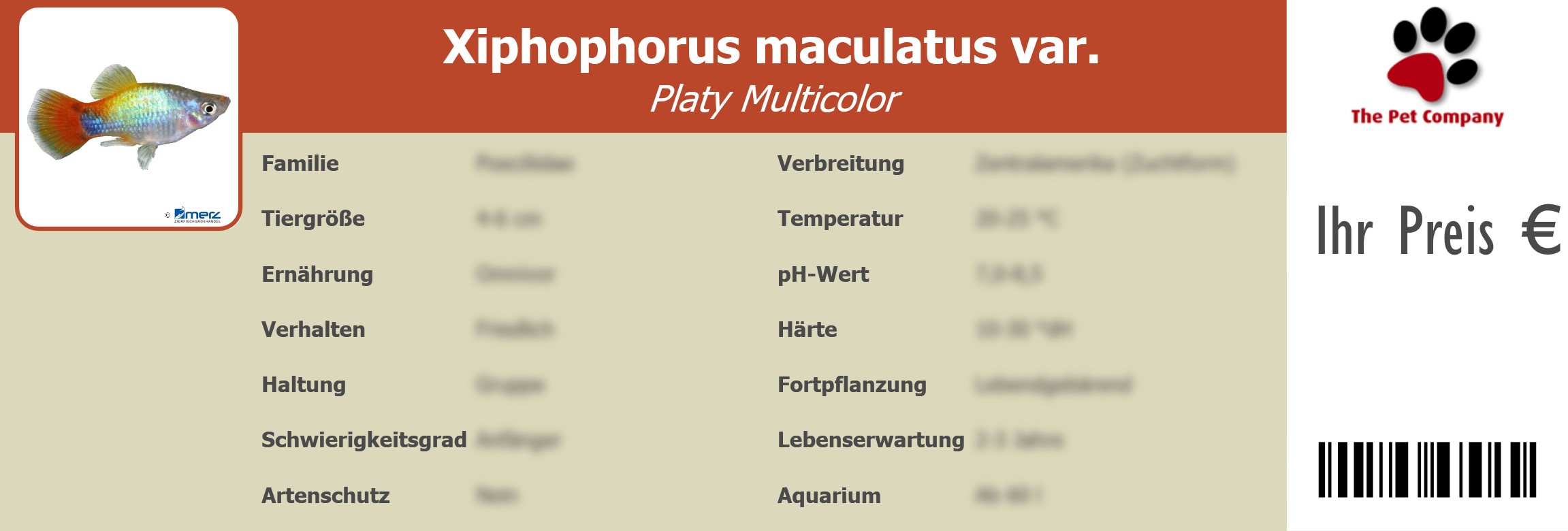 Xiphophorus maculatus var. Platy Multicolor 195 x 66 mm