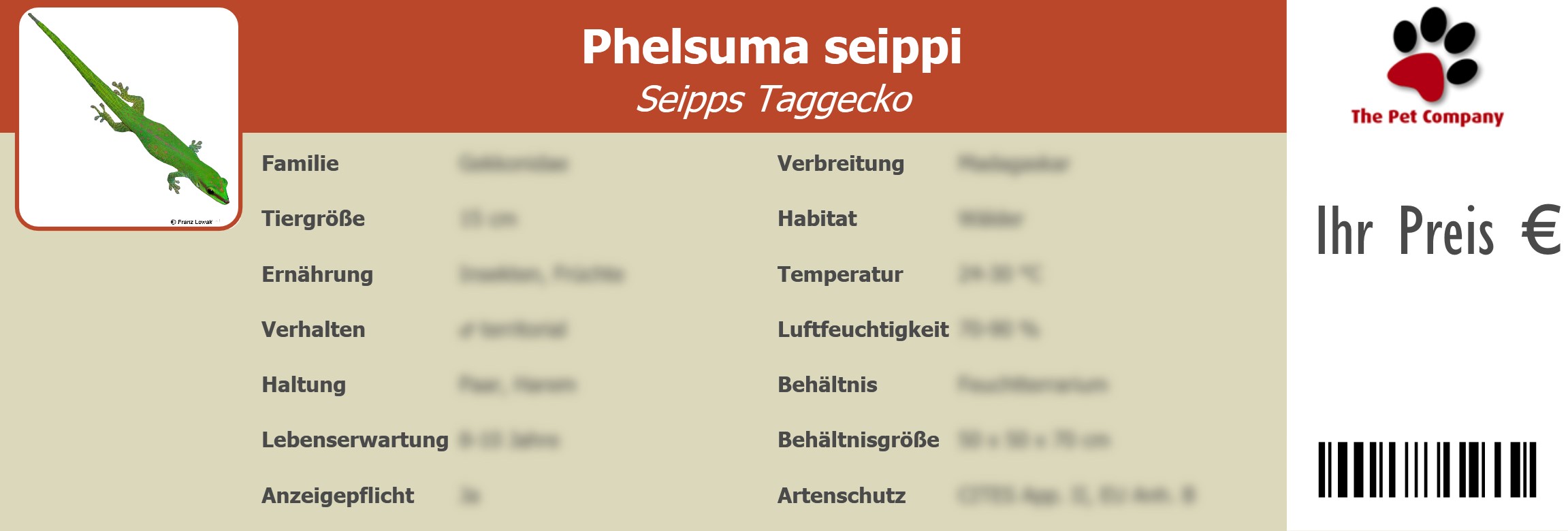 Phelsuma seippi Seipps Taggecko 195 x 66 mm