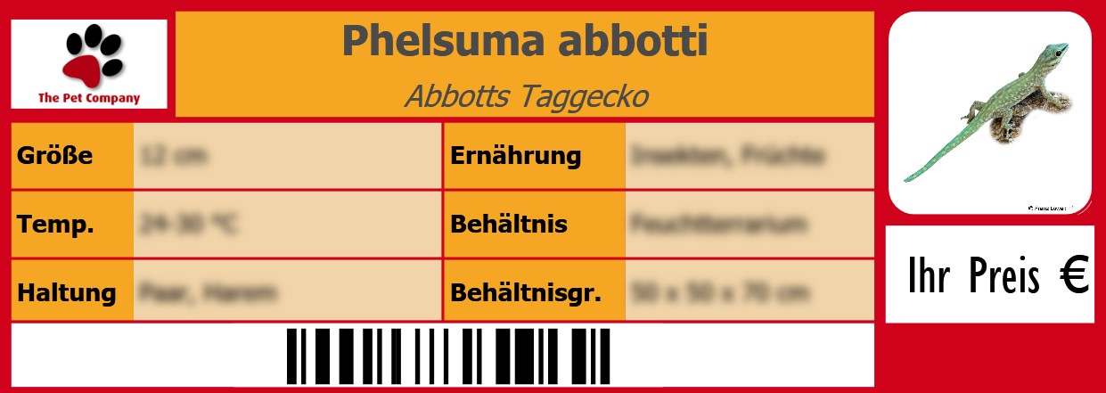 Phelsuma abbotti Abbotts Taggecko 105 x 38 mm