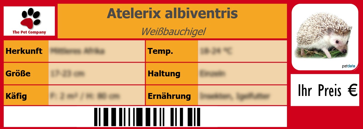 Atelerix albiventris Weißbauchigel 105 x 38 mm