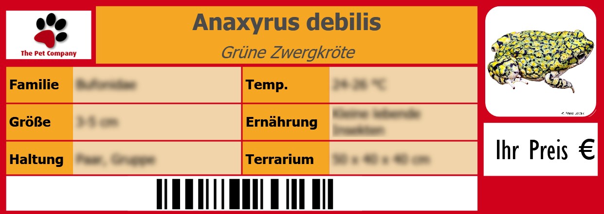 Anaxyrus debilis Grüne Zwergkröte 105 x 38 mm