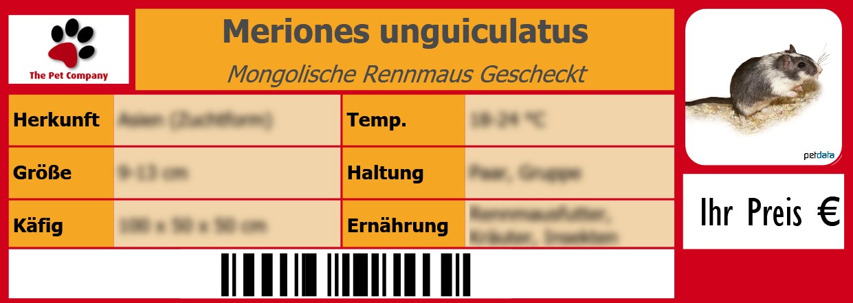 Meriones unguiculatus Mongolische Rennmaus Gescheckt 105 x 38 mm