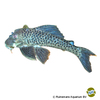 Ancistomus spilomma Spilomma Pleco