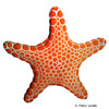 Pentagonaster duebeni Red Tiled Sea Star