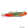 Sicyopus exallisquamulus Red Lipstick Goby