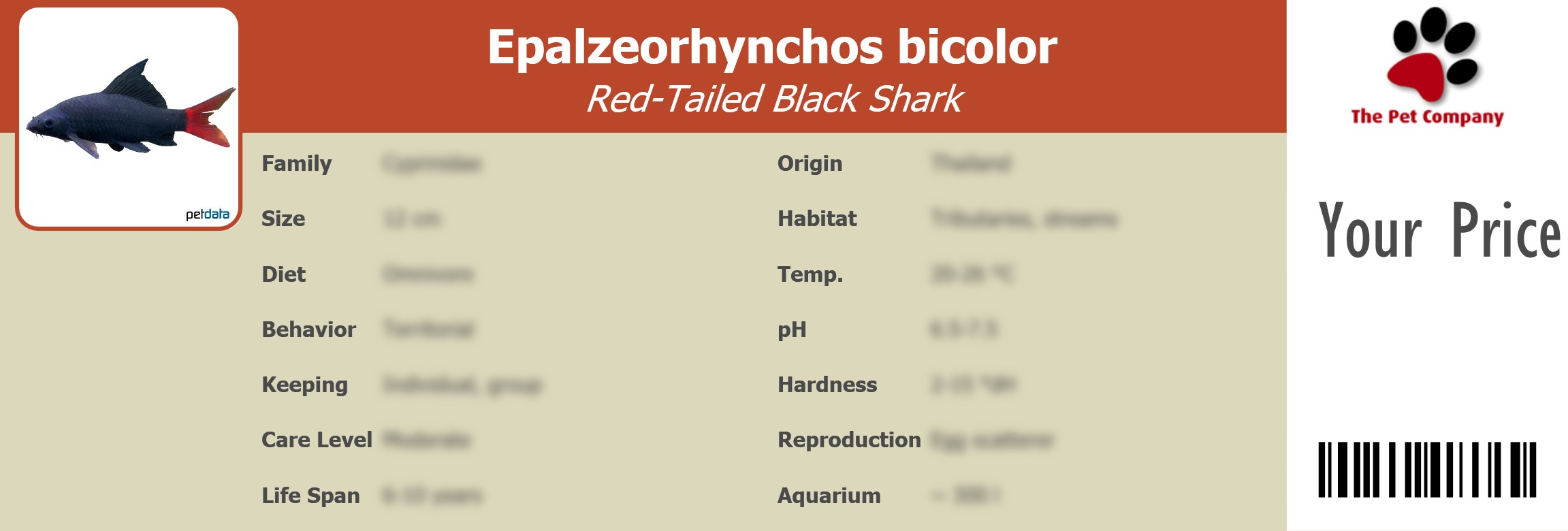 Epalzeorhynchos bicolor Red-Tailed Black Shark 195 x 66 mm