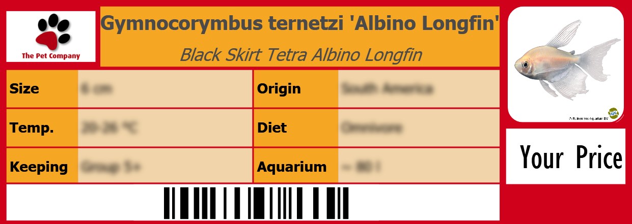 Gymnocorymbus ternetzi 'Albino Longfin' Black Skirt Tetra Albino Longfin 105 x 38 mm