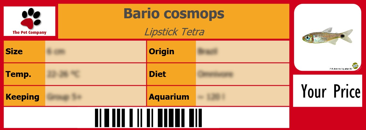 Bario cosmops Lipstick Tetra 105 x 38 mm