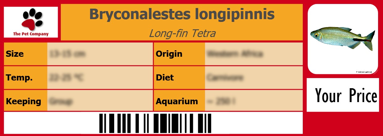 Bryconalestes longipinnis Long-fin Tetra 105 x 38 mm