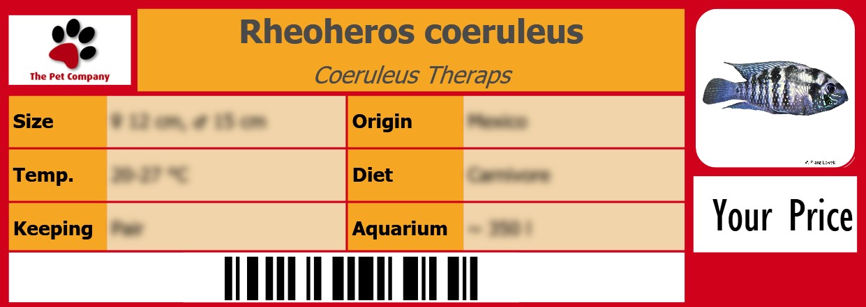 Rheoheros coeruleus Coeruleus Theraps 105 x 38 mm