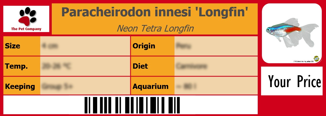 Paracheirodon innesi 'Longfin' Neon Tetra Longfin 105 x 38 mm