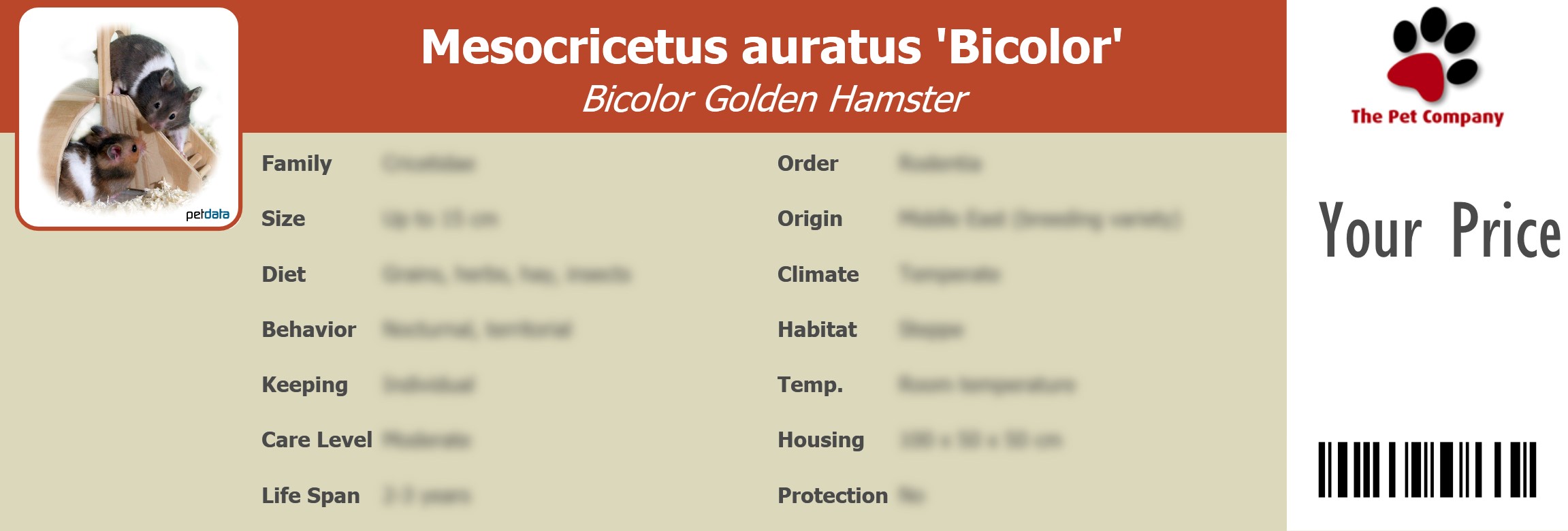 Mesocricetus auratus 'Bicolor' Bicolor Golden Hamster 195 x 66 mm