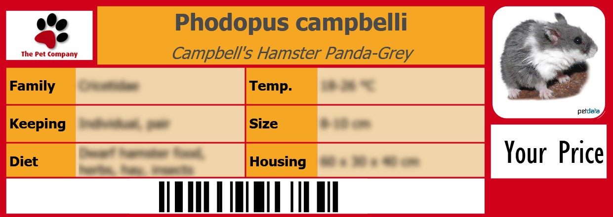 Phodopus campbelli Campbell's Hamster Panda-Grey 105 x 38 mm