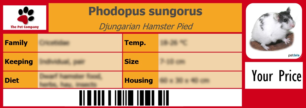 Phodopus sungorus Djungarian Hamster Pied 105 x 38 mm