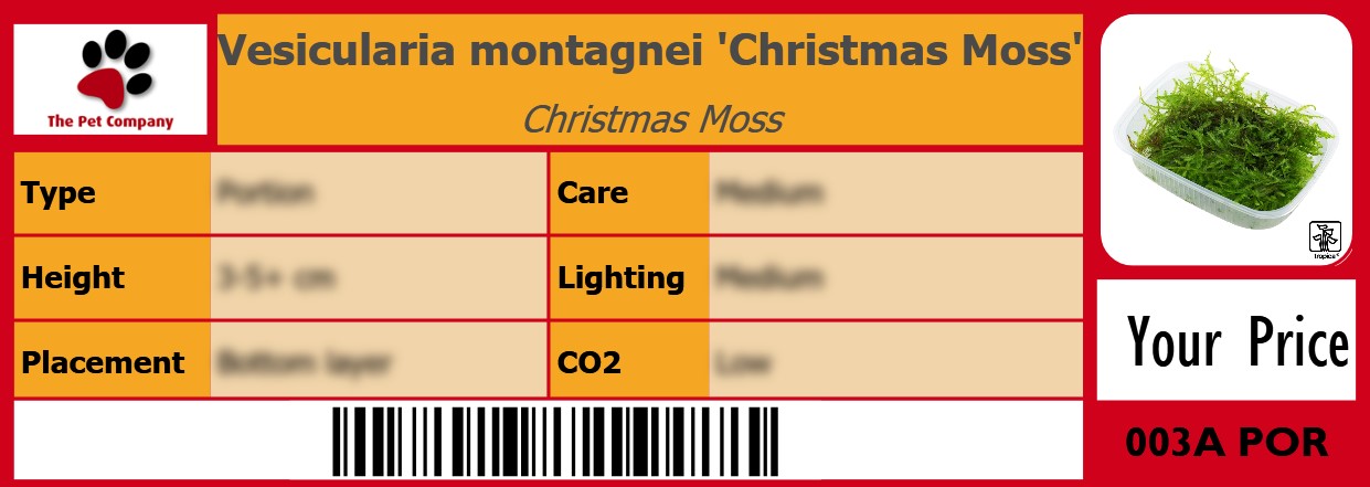 Vesicularia montagnei 'Christmas Moss' Christmas Moss 105 x 38 mm
