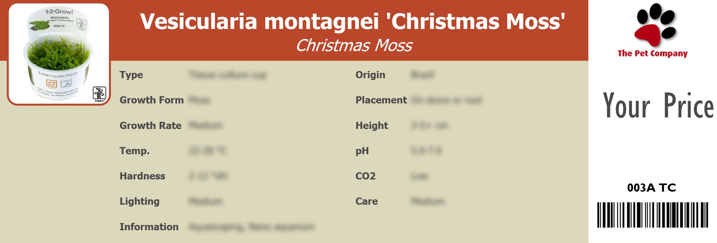 Vesicularia montagnei 'Christmas Moss' Christmas Moss 195 x 66 mm