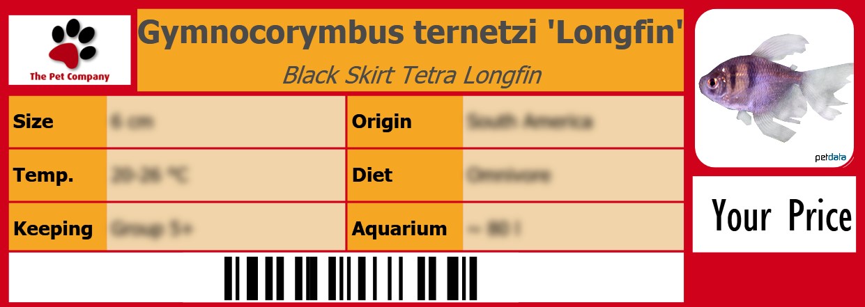 Gymnocorymbus ternetzi 'Longfin' Black Skirt Tetra Longfin 105 x 38 mm