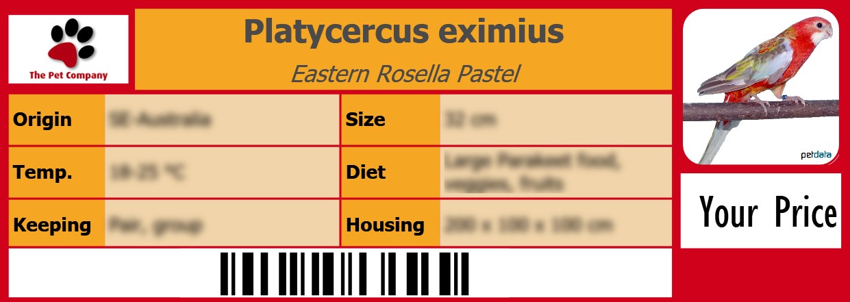 Platycercus eximius Eastern Rosella Pastel 105 x 38 mm