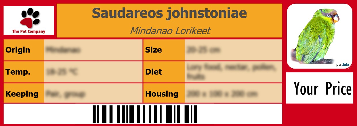 Saudareos johnstoniae Mindanao Lorikeet 105 x 38 mm