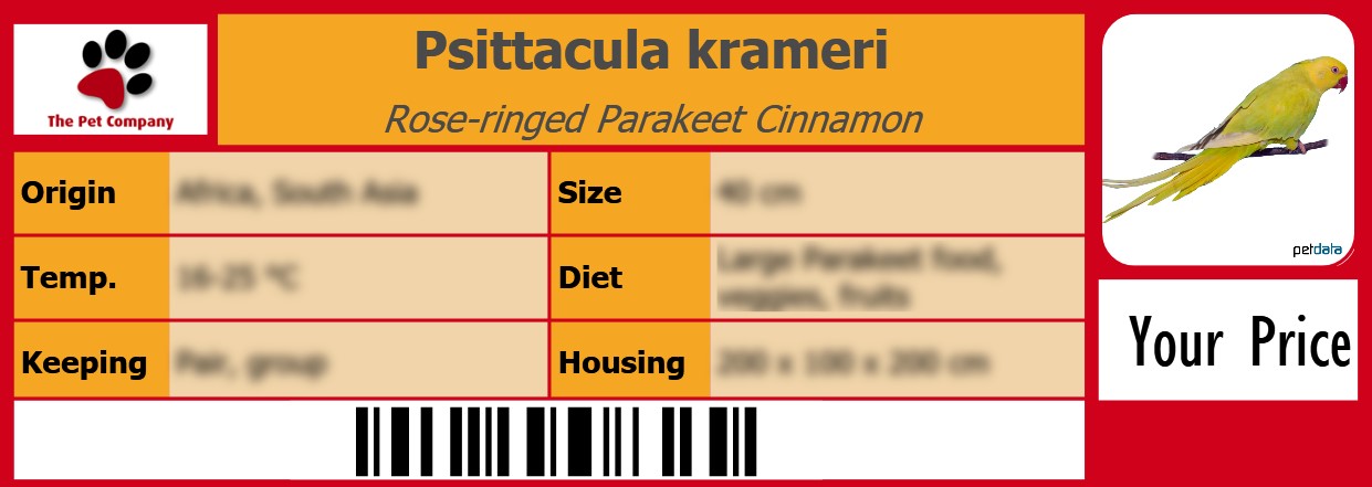 Psittacula krameri Rose-ringed Parakeet Cinnamon 105 x 38 mm