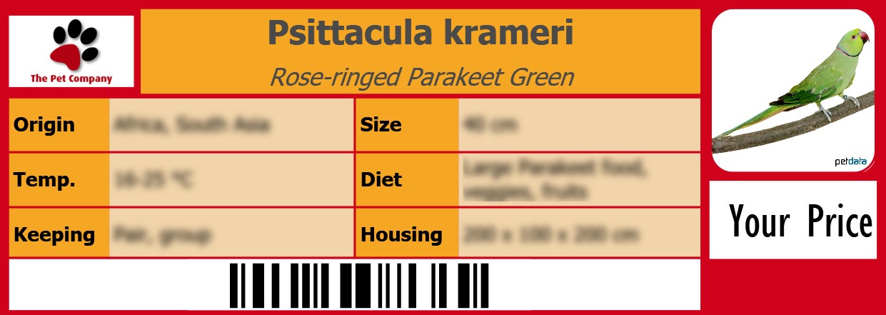 Psittacula krameri Rose-ringed Parakeet Green 105 x 38 mm