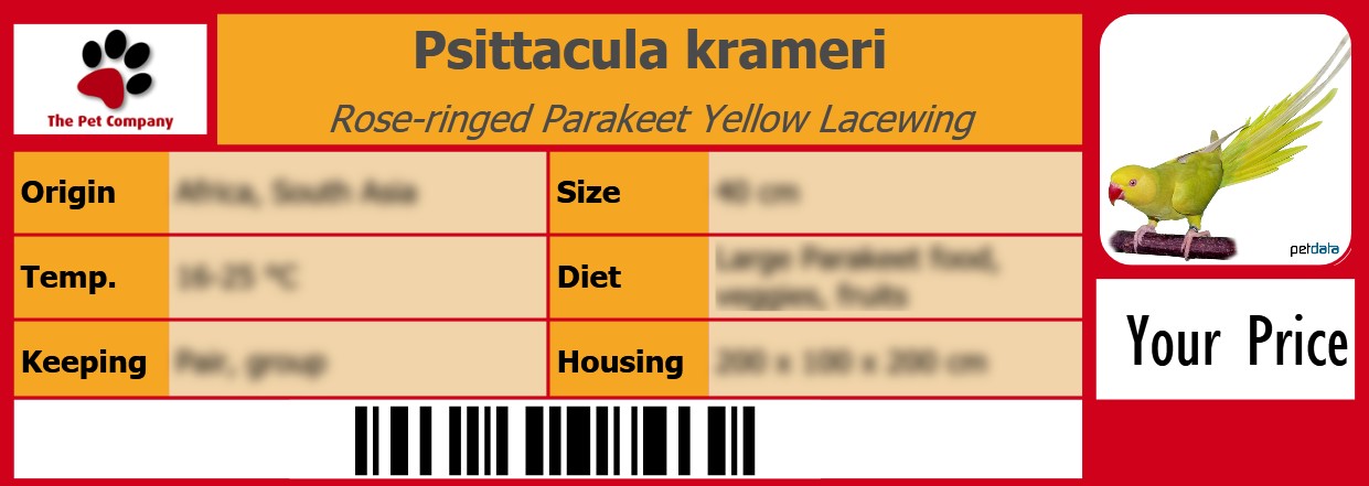 Psittacula krameri Rose-ringed Parakeet Yellow Lacewing 105 x 38 mm