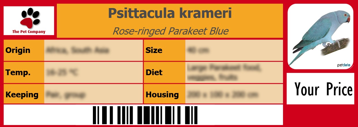 Psittacula krameri Rose-ringed Parakeet Blue 105 x 38 mm