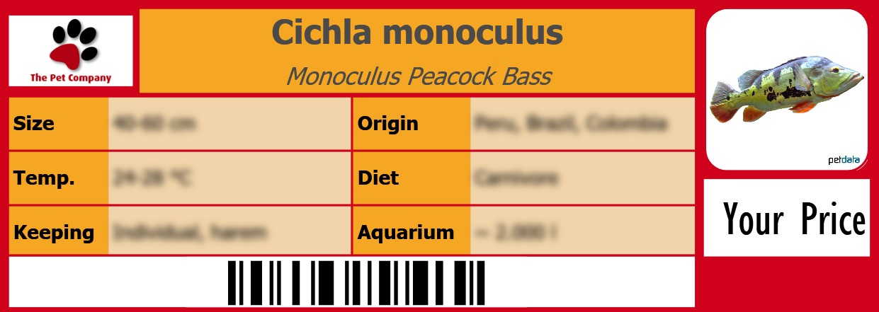 Cichla monoculus Monoculus Peacock Bass 105 x 38 mm