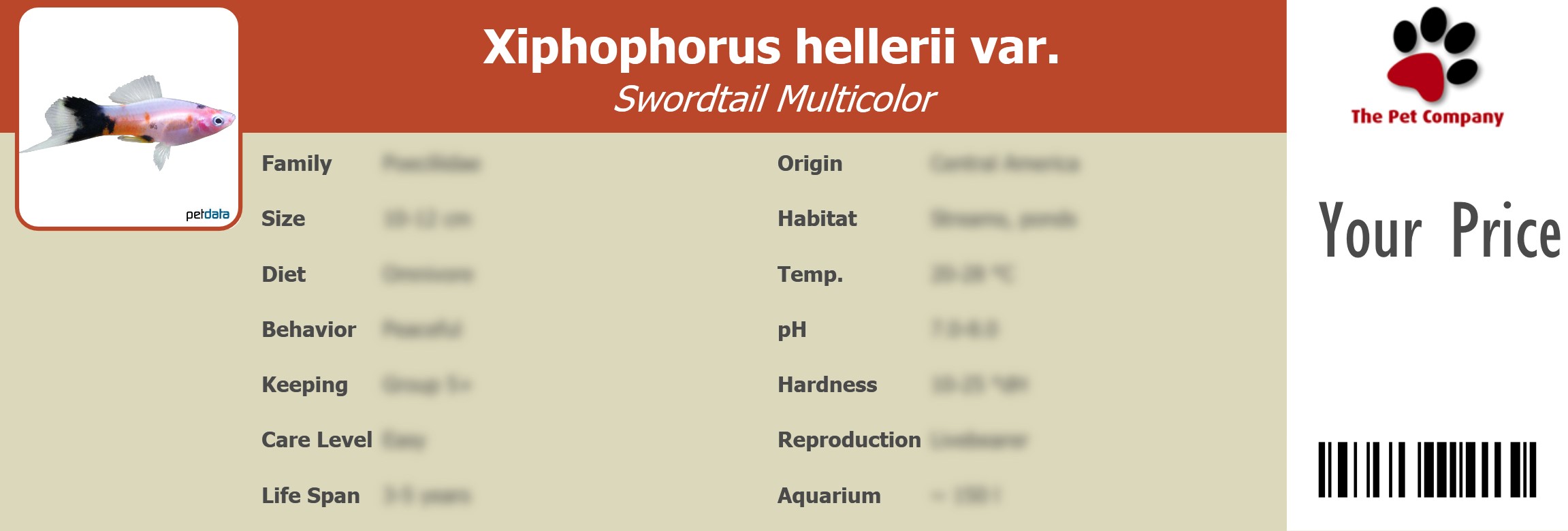 Xiphophorus hellerii var. Swordtail Multicolor 195 x 66 mm