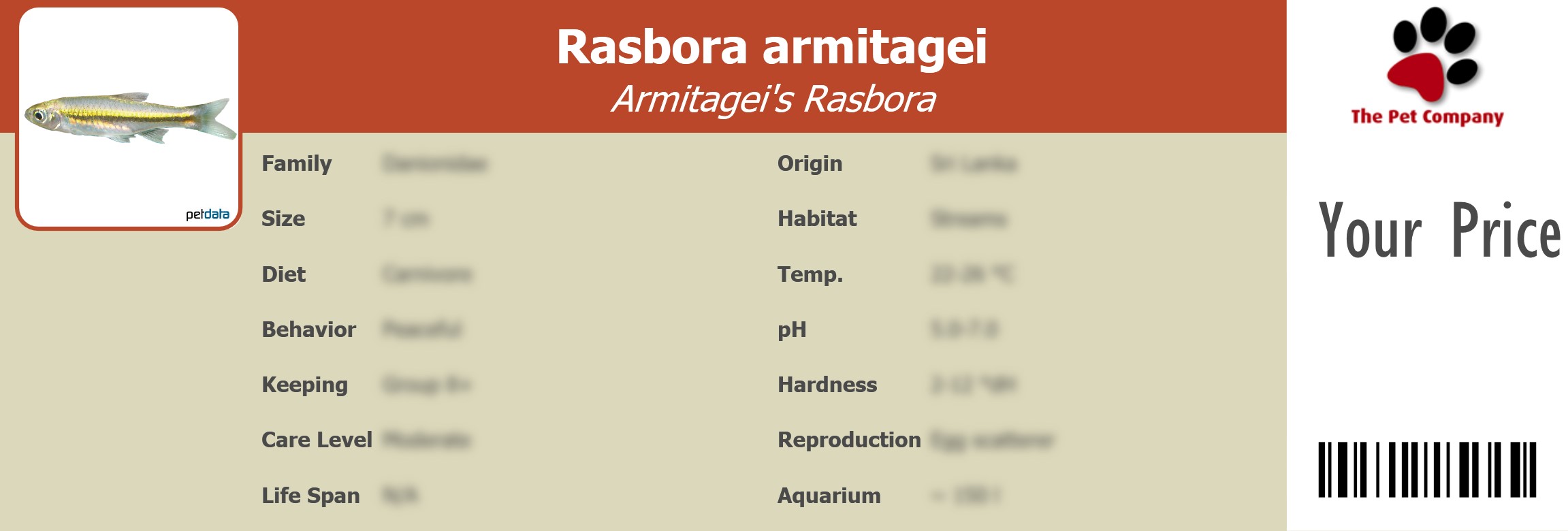 Rasbora armitagei Armitagei's Rasbora 195 x 66 mm