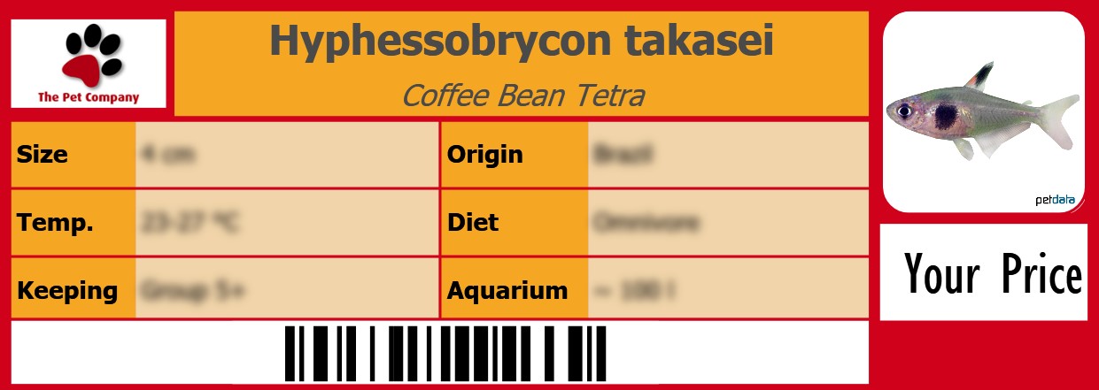 Hyphessobrycon takasei Coffee Bean Tetra 105 x 38 mm