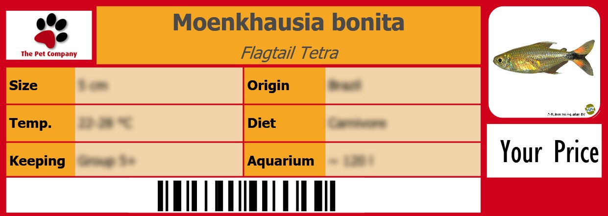Moenkhausia bonita Flagtail Tetra 105 x 38 mm