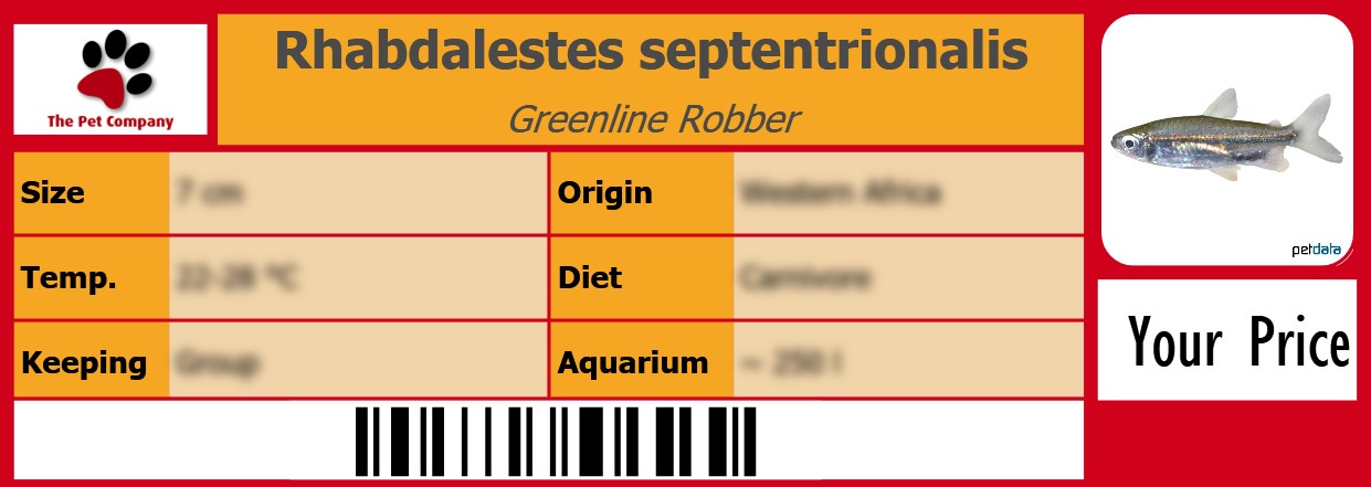 Rhabdalestes septentrionalis Greenline Robber 105 x 38 mm