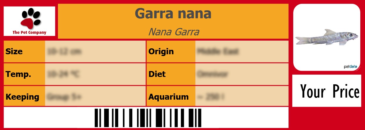 Garra nana Nana Garra 105 x 38 mm