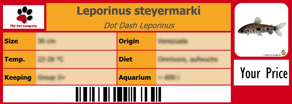 Leporinus steyermarki Dot Dash Leporinus 105 x 38 mm
