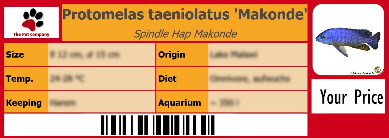 Protomelas taeniolatus 'Makonde' Spindle Hap Makonde 105 x 38 mm