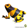 Dendrobates leucomelas 'Guyana' Gelbgebänderter Pfeilgiftfrosch Guyana