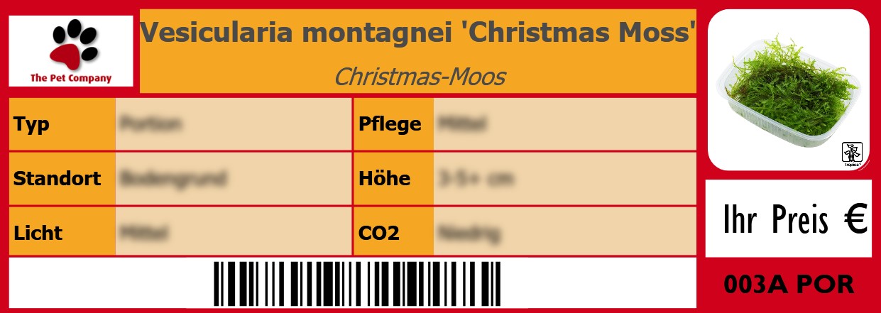 Vesicularia montagnei 'Christmas Moss' Christmas-Moos 105 x 38 mm
