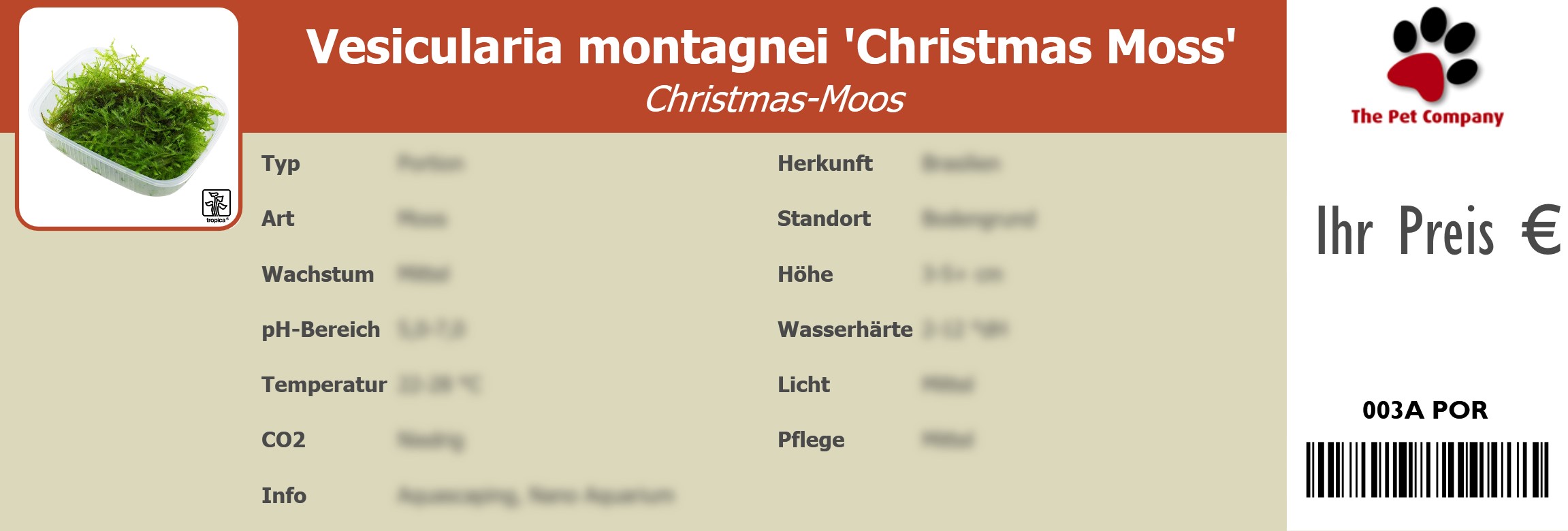 Vesicularia montagnei 'Christmas Moss' Christmas-Moos 195 x 66 mm