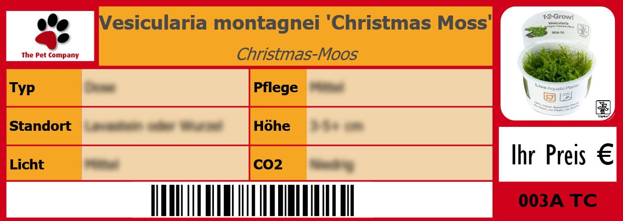 Vesicularia montagnei 'Christmas Moss' Christmas-Moos 105 x 38 mm